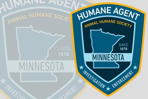 Humane Investigations patch