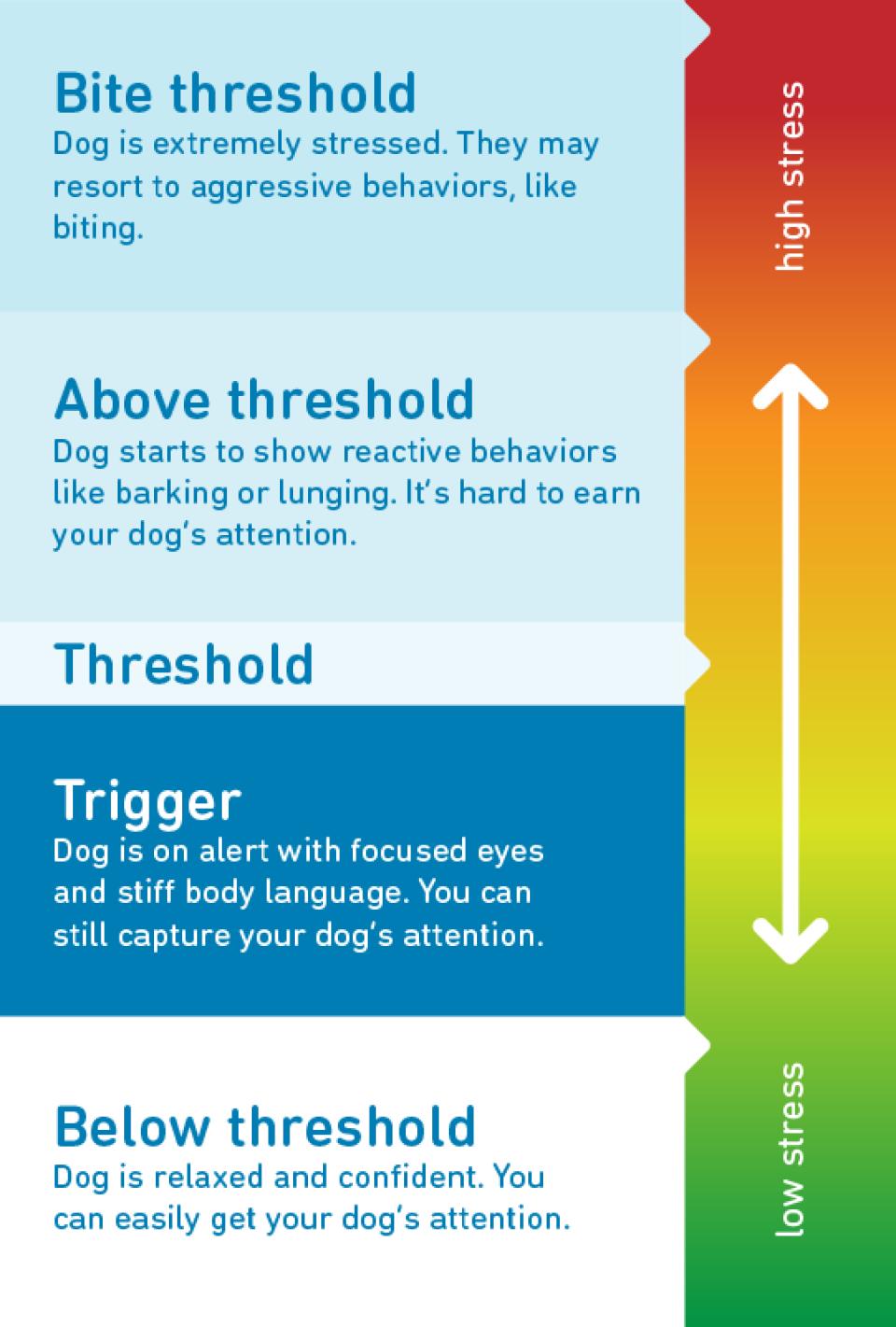 Reactivity and aggression in dogs Animal Humane Society